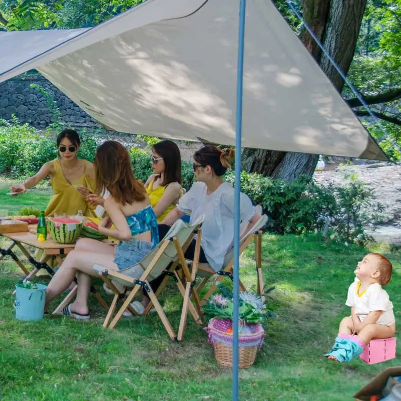 Baby Portable,Foldable Potty Seat.