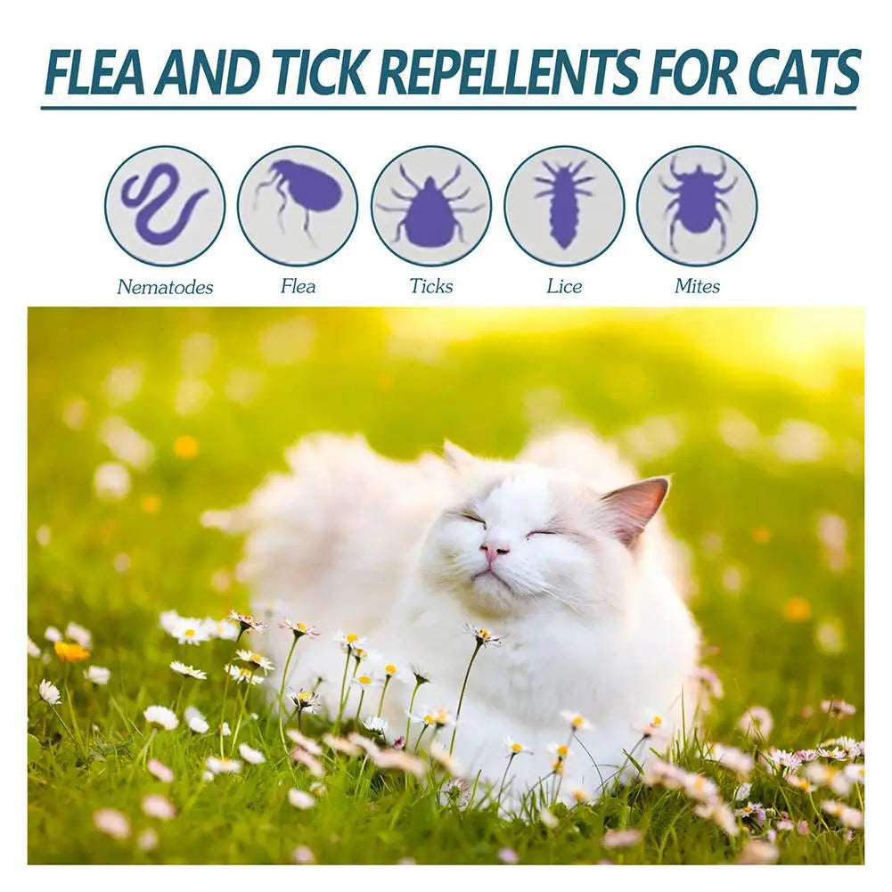 Flea and tick drops for pets, combats fleas, ticks, and lice.