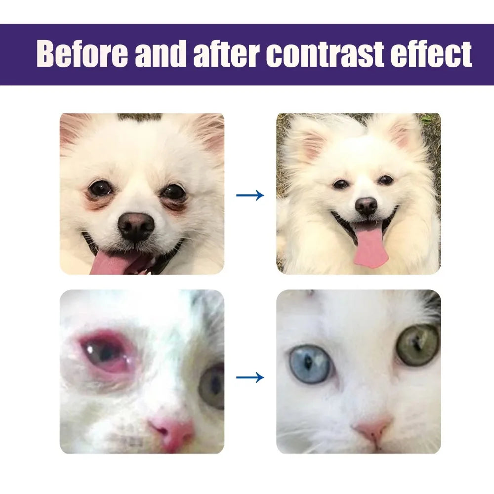 Premium hygiene spray for dogs.