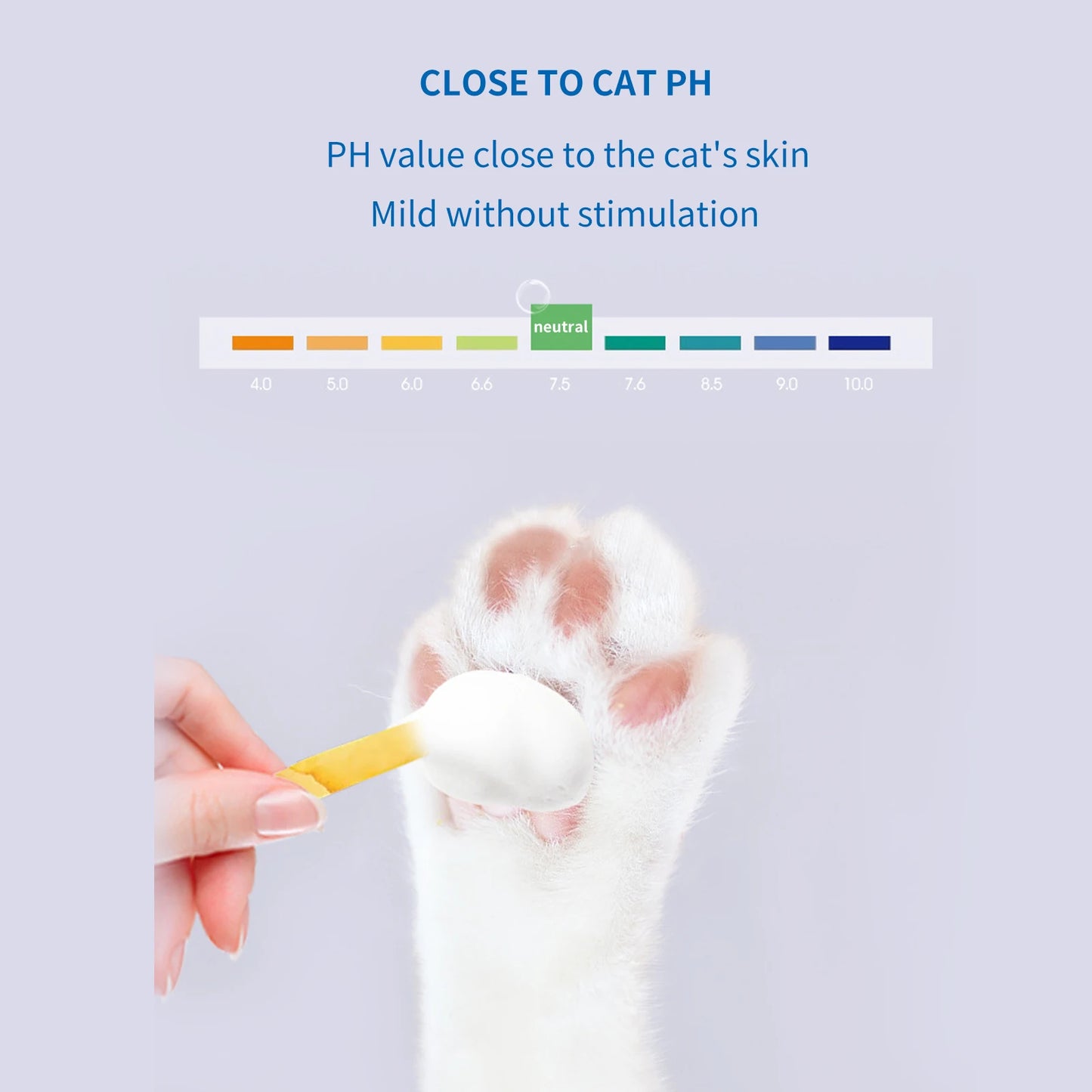 Premium hygiene spray for dogs.