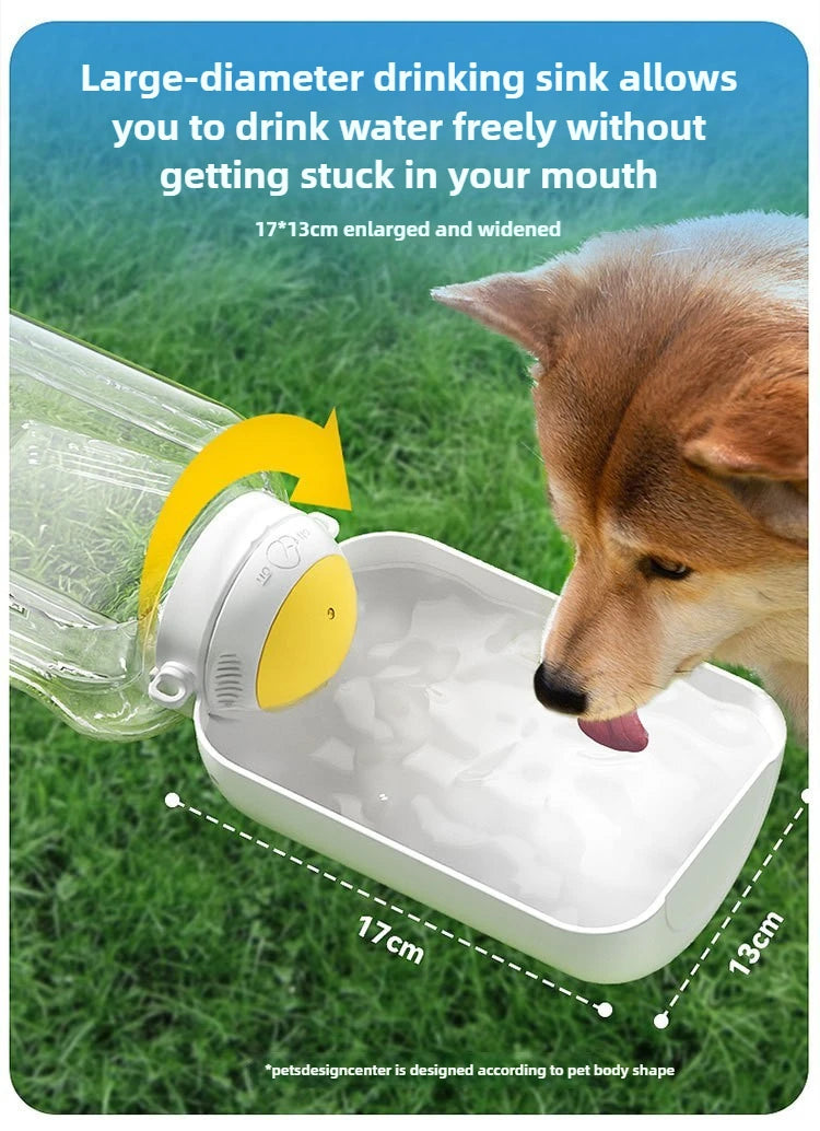 Portable water bowl for dogs, ideal for outdoor walks.