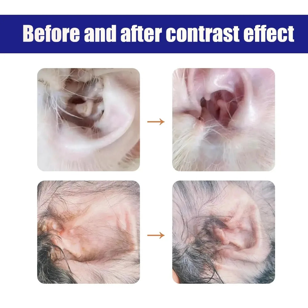 Premium hygiene spray for dogs.