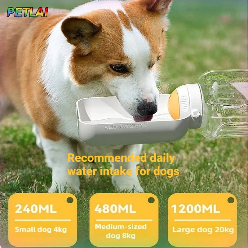 Portable water bowl for dogs, ideal for outdoor walks.