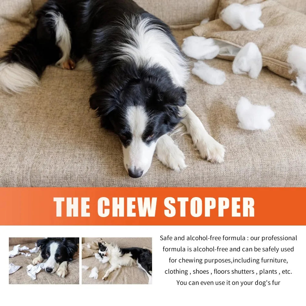 Premium hygiene spray for dogs.