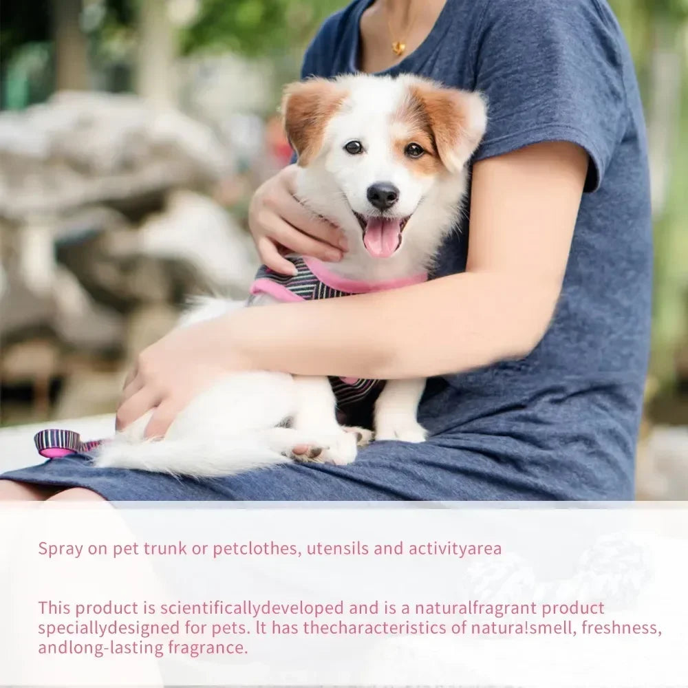 Premium hygiene spray for dogs.