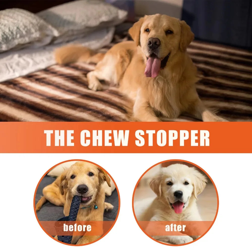 Premium hygiene spray for dogs.