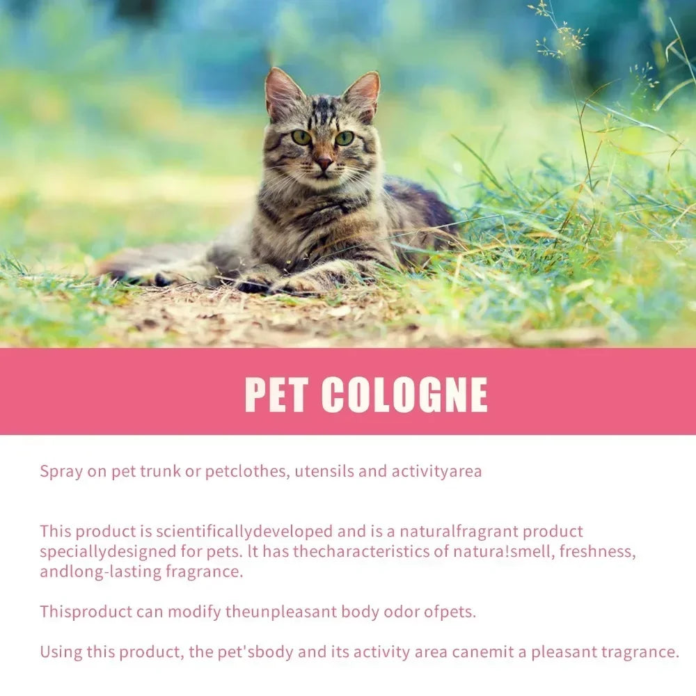 Premium hygiene spray for dogs.