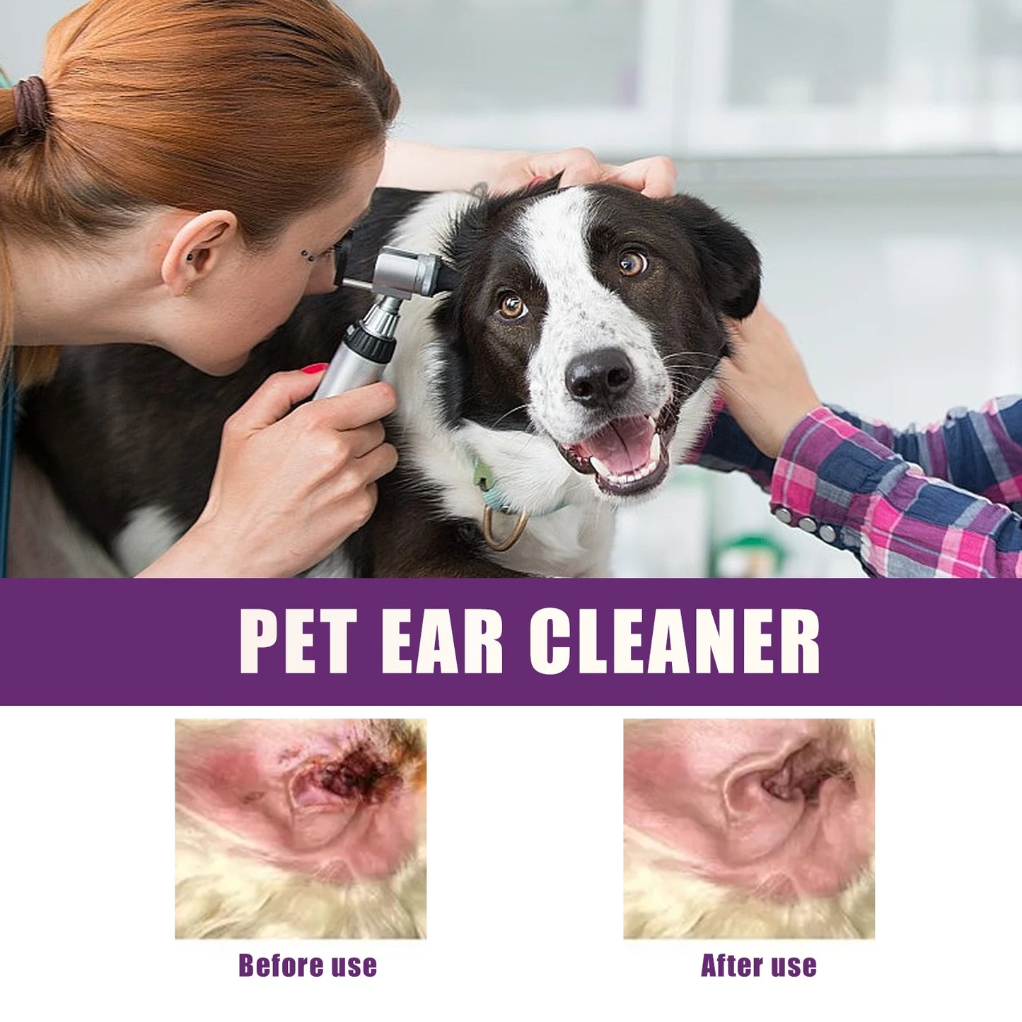 Premium hygiene spray for dogs.