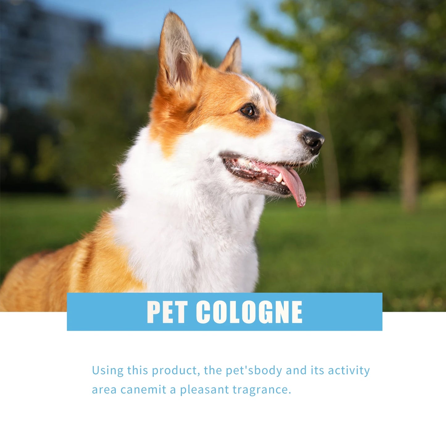 Premium hygiene spray for dogs.