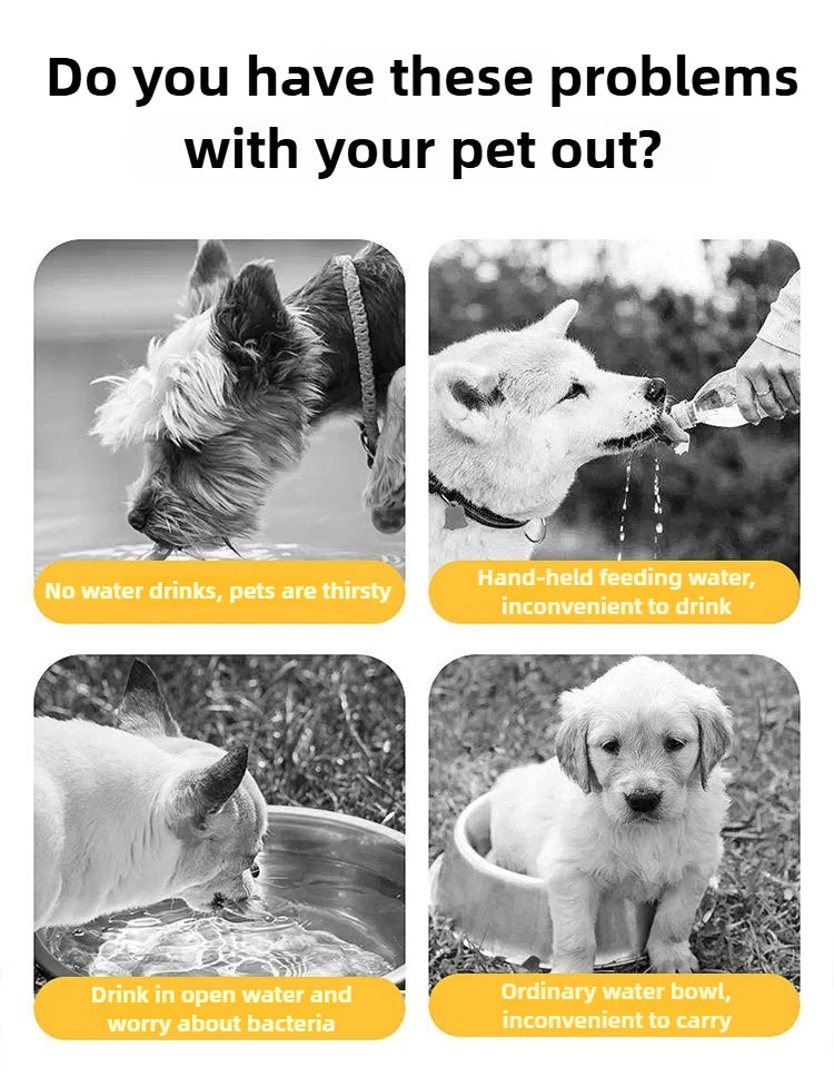 Portable water bowl for dogs, ideal for outdoor walks.