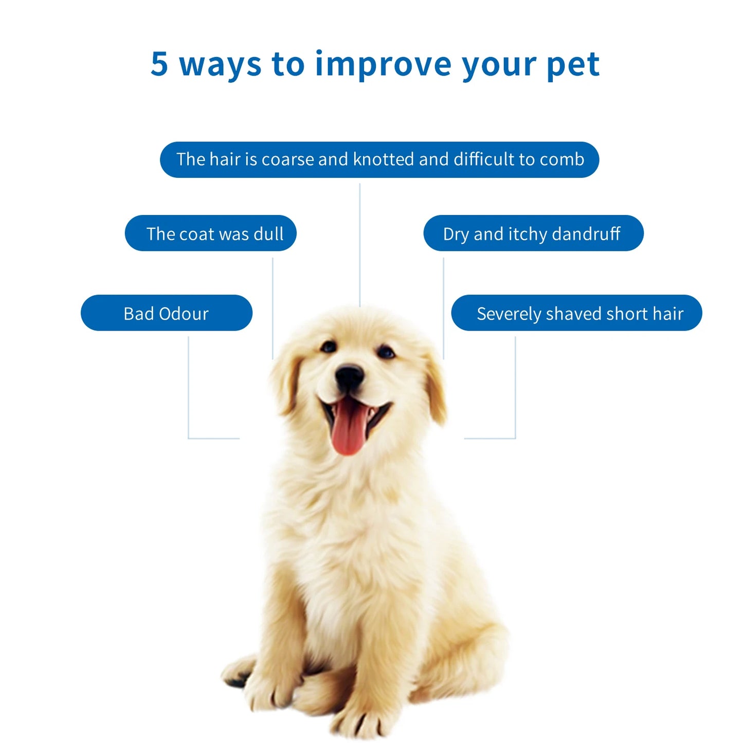 Premium hygiene spray for dogs.