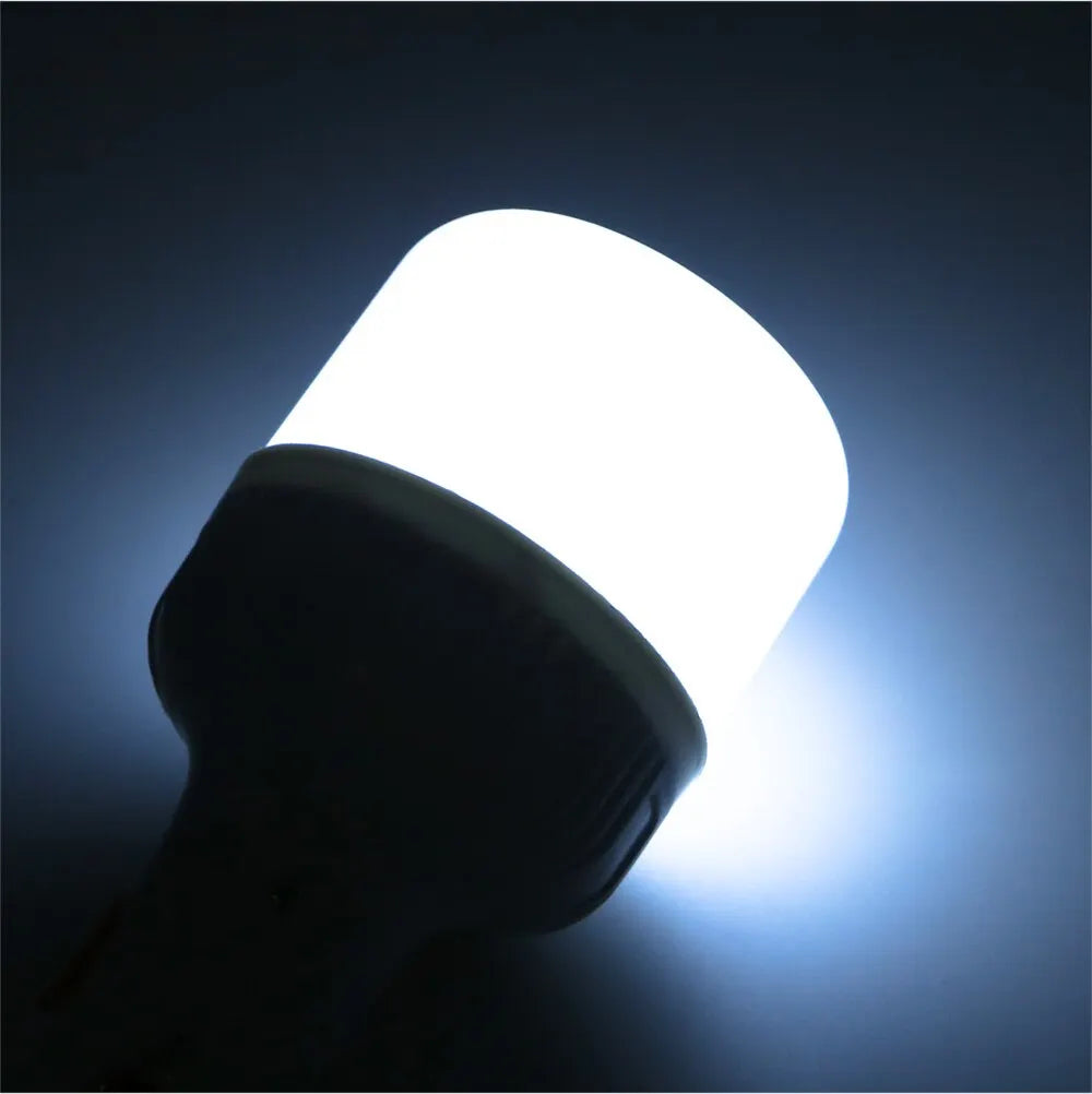 Rechargeable LED lamp, ideal for emergencies.