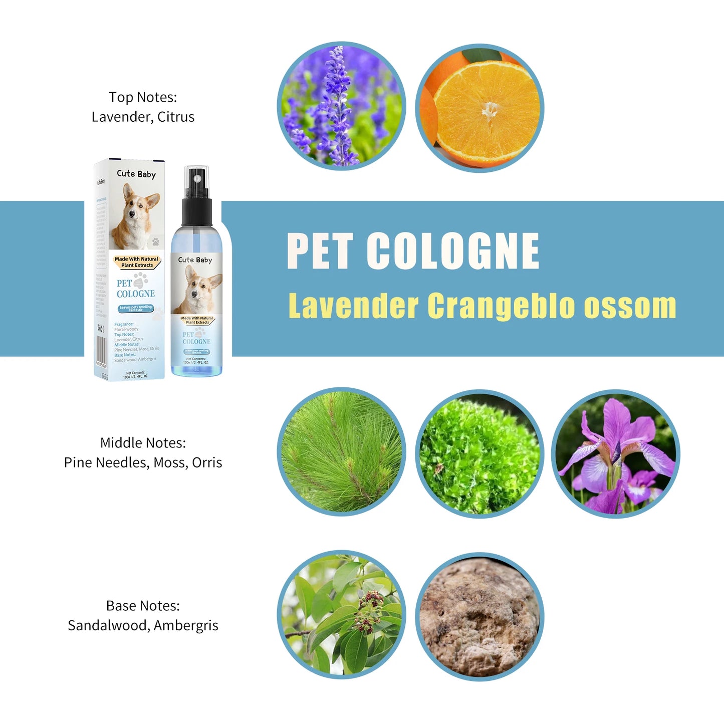 Premium hygiene spray for dogs.