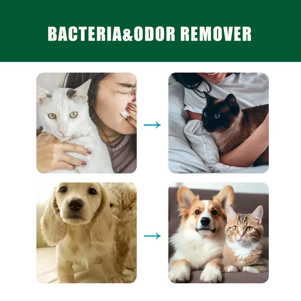 Premium hygiene spray for dogs.