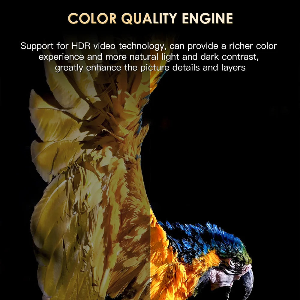 H20PRO Android 10 TV BOX 4k HD Dual Wifi Quad Core 1080P Video.