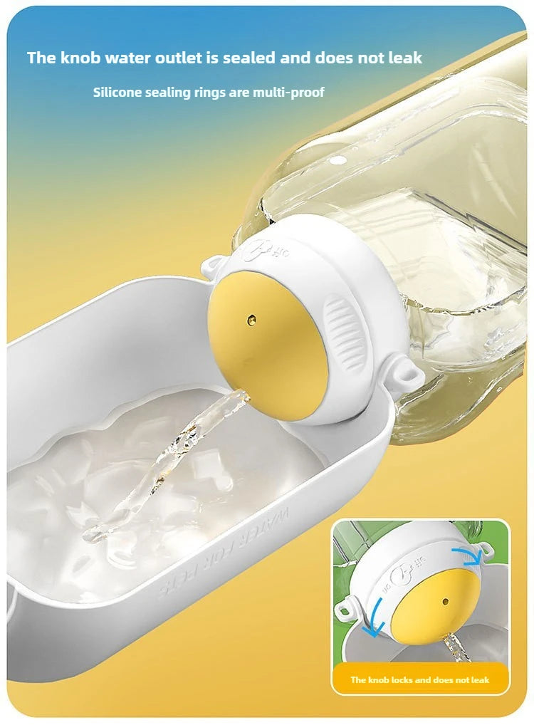 Portable water bowl for dogs, ideal for outdoor walks.