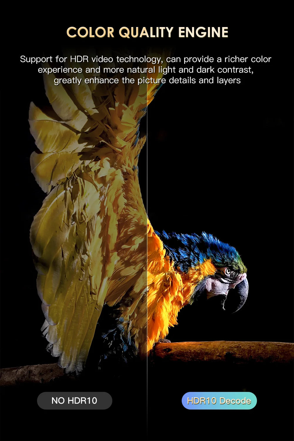 H20PRO Android 10 TV BOX 4k HD Dual Wifi Quad Core 1080P Video.