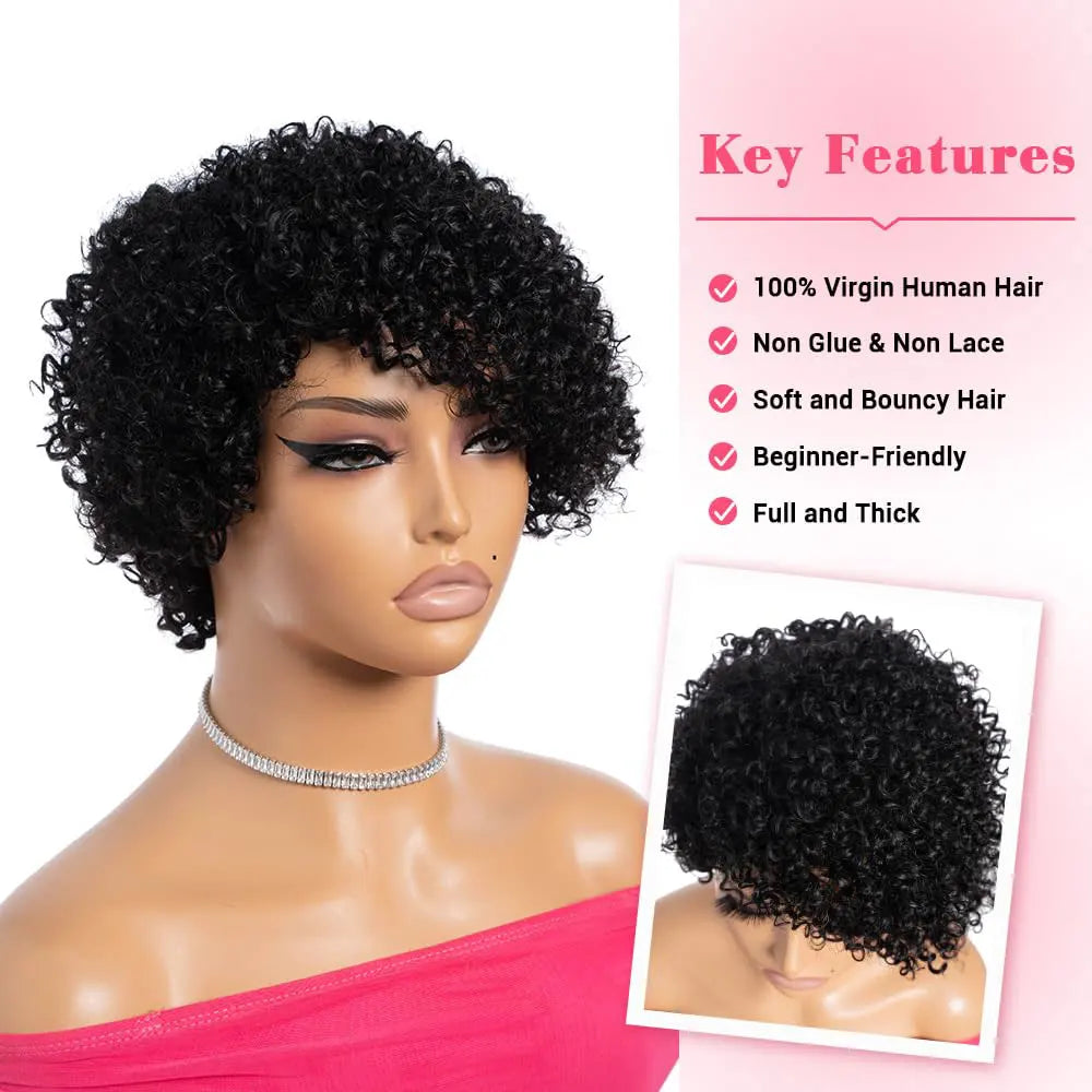 Kinky Curly Wigs Human Hair  Side Part Afro Kinky Curly Wigs for Black Women  Pixie Cut Curly Wigs Human Hair 100% Full Machine